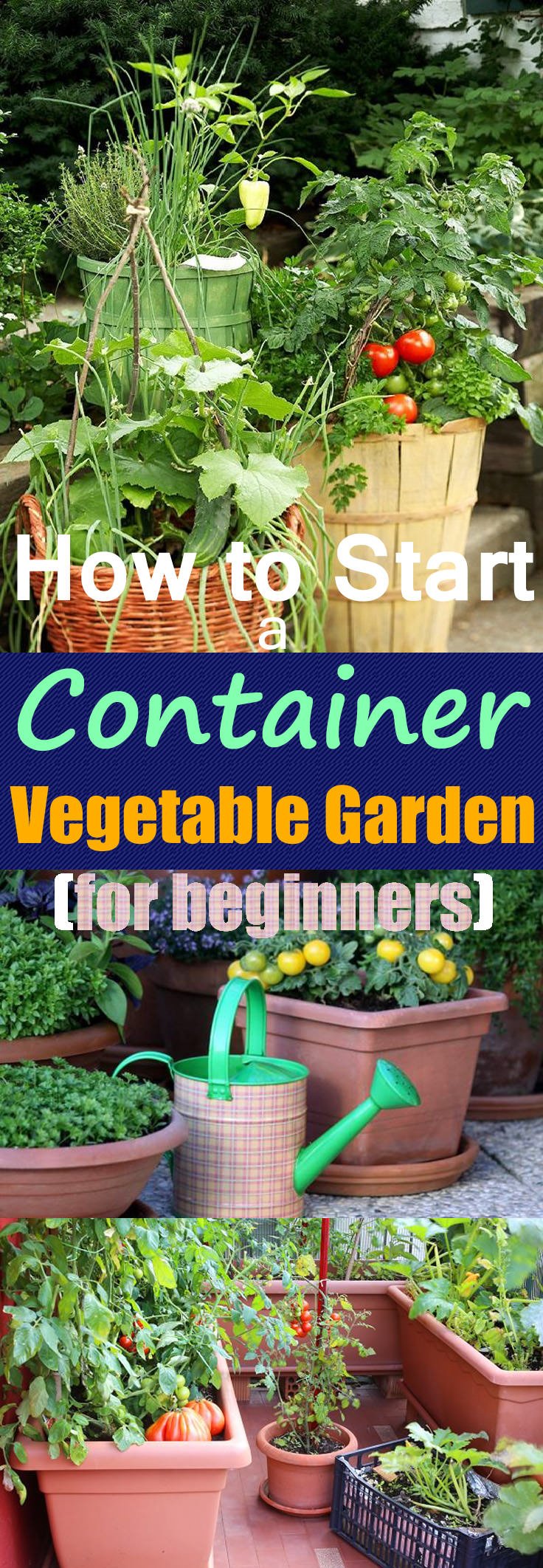 Growing vegetables in pots is an excellent idea if you have a limited space, starting your own container vegetable garden gives you a chance to produce a bountiful harvest of edibles that are freshest and tastiest!