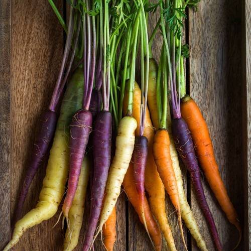 Most Colorful Vegetables 3