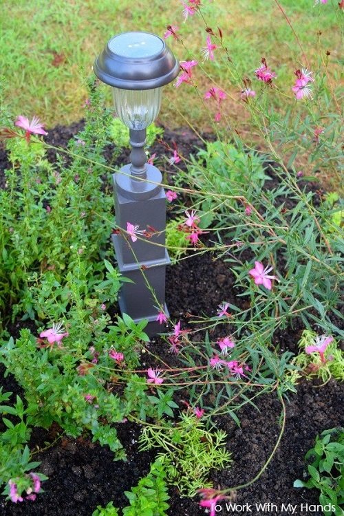DIY Solar Light Projects for Home and Garden