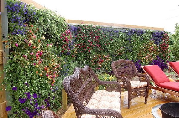 Living Walls for Privacy