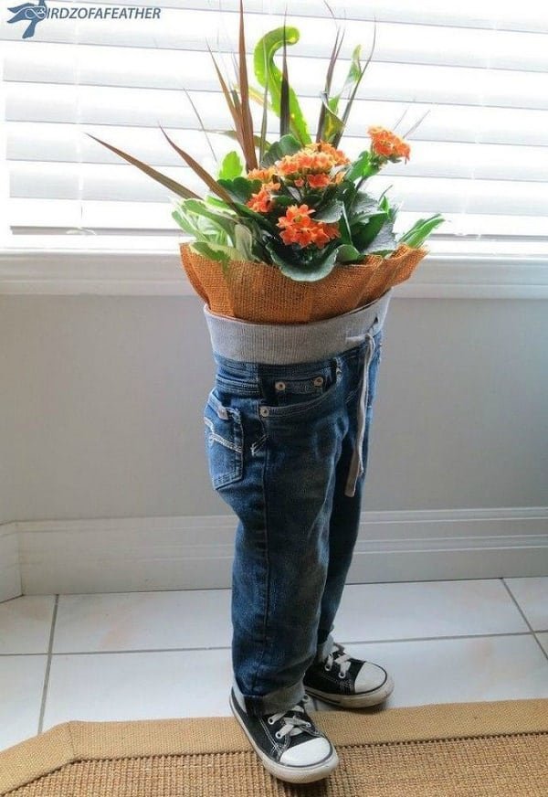 use of jeans in garden
