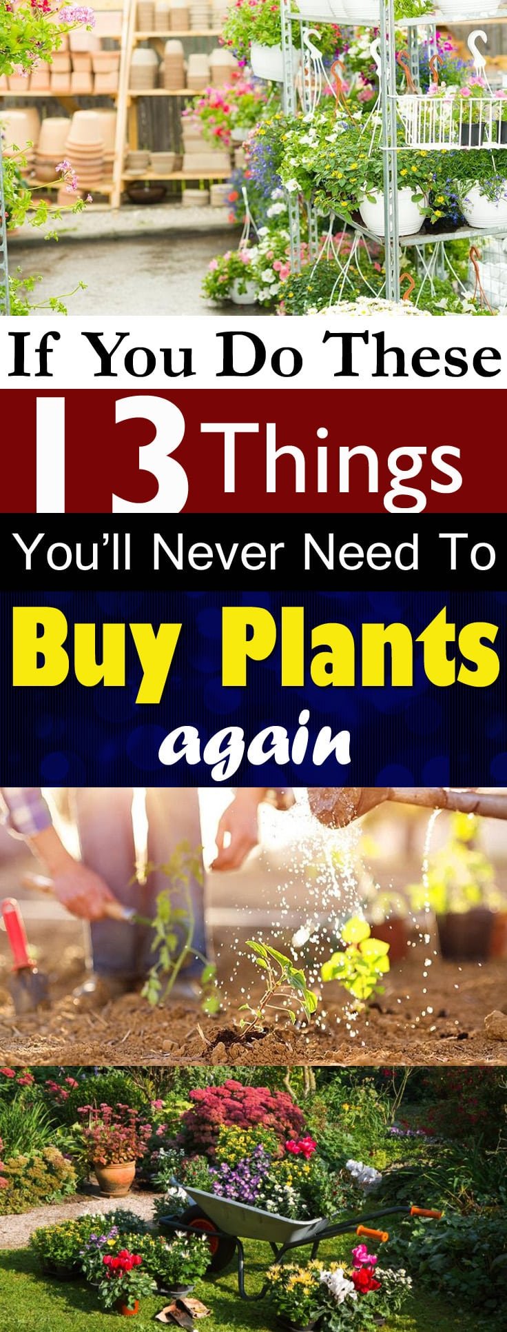 Save your money from buying PLANTS and get them free by applying these ideas. You read right-- Free!