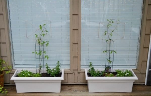 DIY Command Hook Ideas For The Garden 1