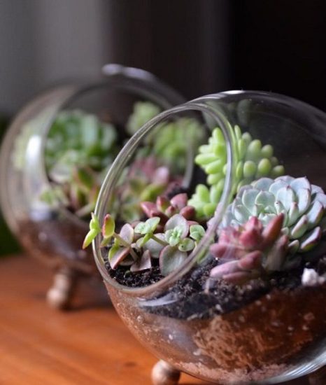 43 Most Beautiful Succulent Container Garden DIYs With Tutorials!