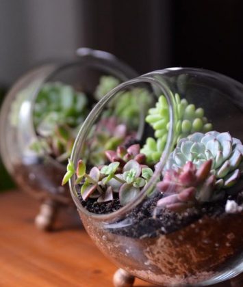 40 Most Beautiful Succulent Container Garden DIYs With Tutorials ...