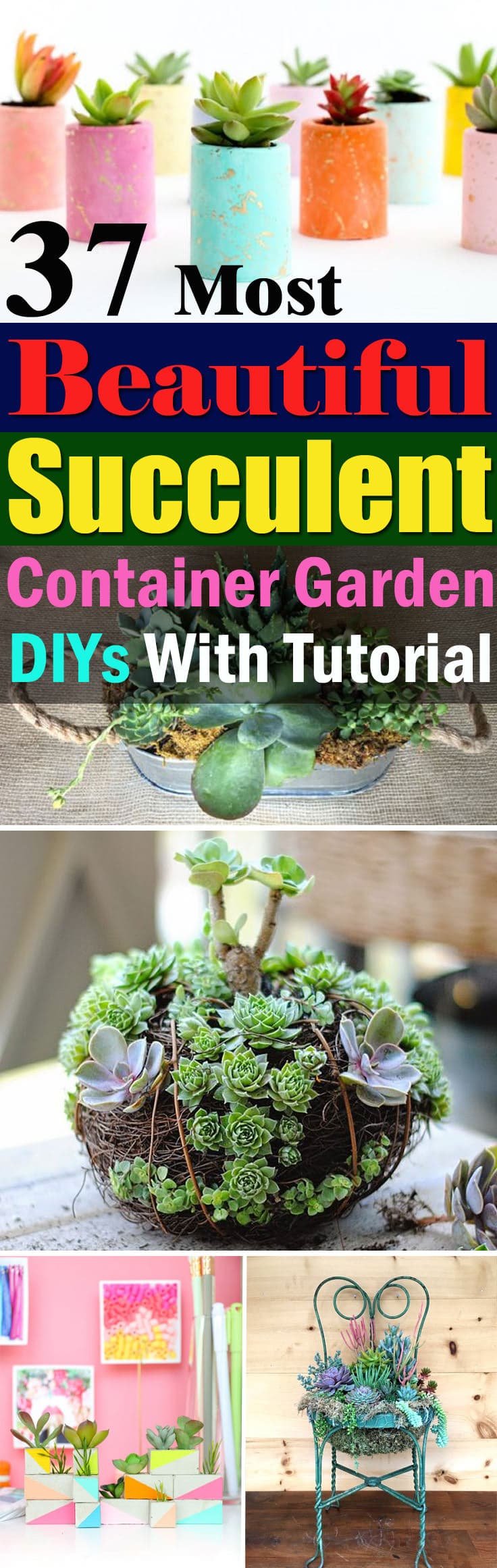 Be creative with the colorful succulents when arranging them, learn these 37 DIY Succulent Container Garden Ideas!