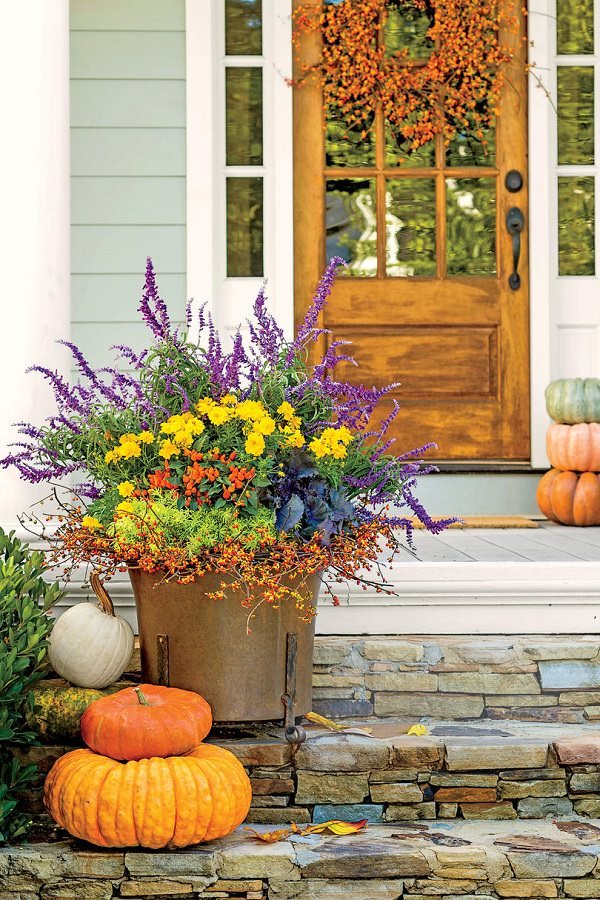 Fall Flowers for Containers