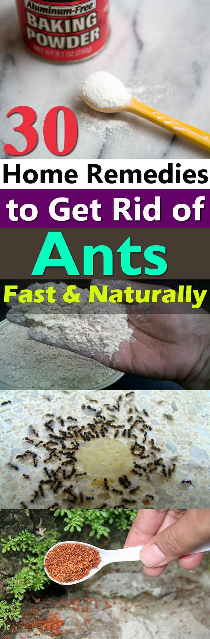 If you don't want to see ants crawling in your home and garden. Try one of these 30 Natural Home Remedies to Get Rid of Ants!