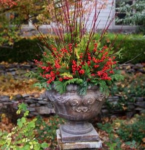 25 Container Gardening Arrangements For Lazy, Forgetful & Busy Gardeners