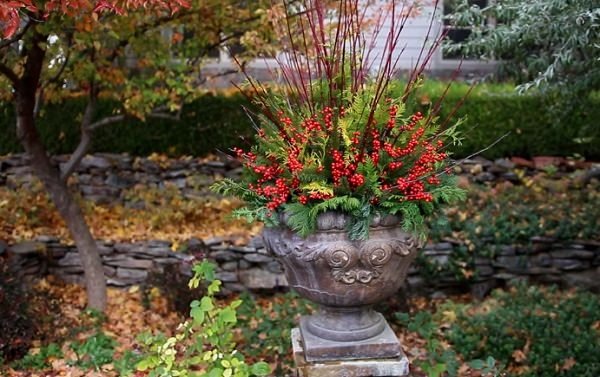 30 Plant Combination Ideas for Container Gardens