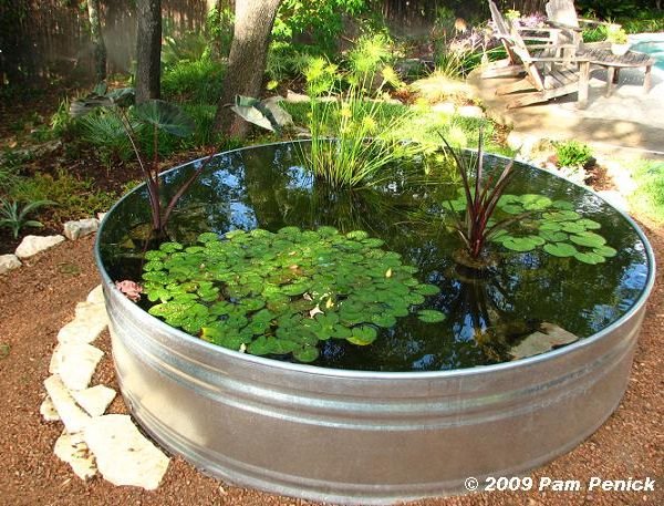Container Pond