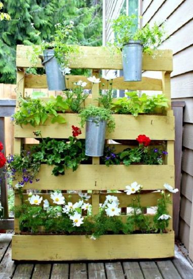 Grow More Plants Indoors | 20 Best DIY Vertical Pallet Garden Ideas