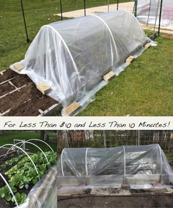 50 Budget-friendly Diy Greenhouse Ideas 