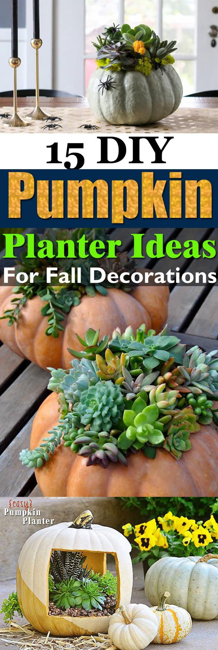 Carve pumpkins or else use the plastic ones for these 15 amazing DIY pumpkin planter ideas for fall decorations!