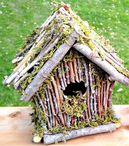 Birdhouse of Twigs and Moss
