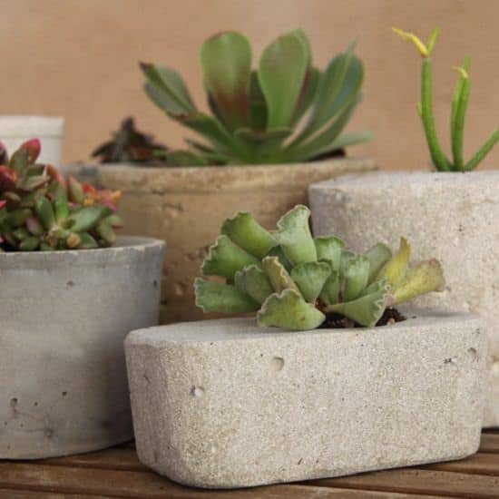 DIY Cement Garden Ideas to make your yard stand out