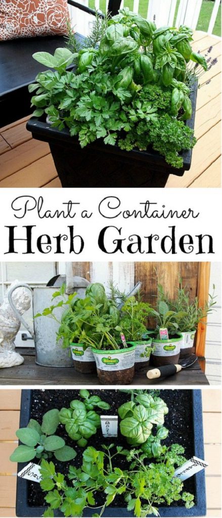 32 Cute DIY Plant Marker Ideas For Container Gardeners | Balcony Garden Web