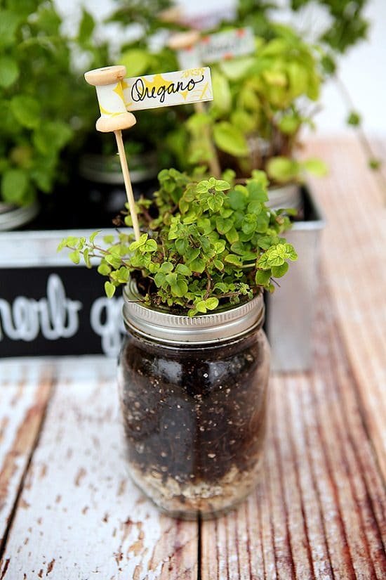DIY Plant Marker+Herb Garden