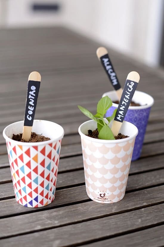 use of Ice Cream Sticks as Plant Markers
