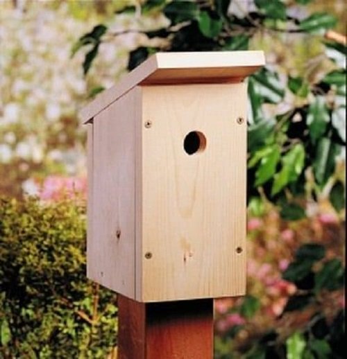 One Board DIY Birdhouse