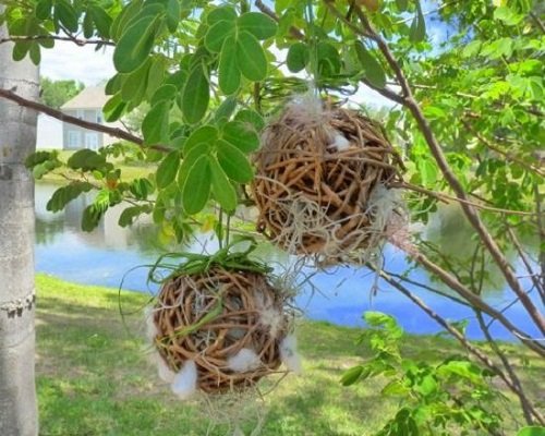 DIY Grapevine Balls for Nesting Birds