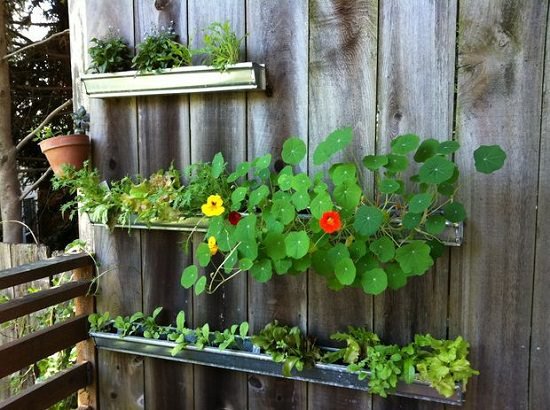Vertical DIY Rain Gutter Garden Ideas For Small Space