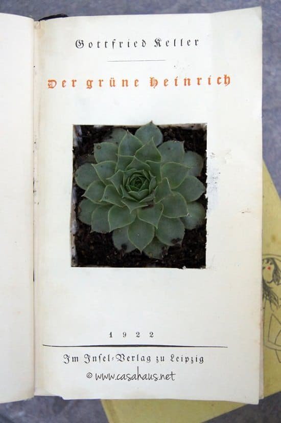 Succulent Book Planter