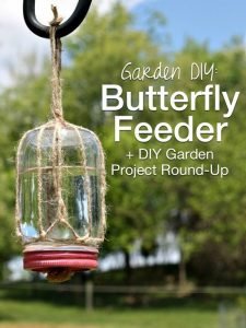 19 DIY Butterfly Feeder Ideas + Quick Liquid Butterfly Food Recipe ...