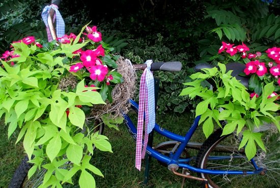 Bicycle Planter DIY