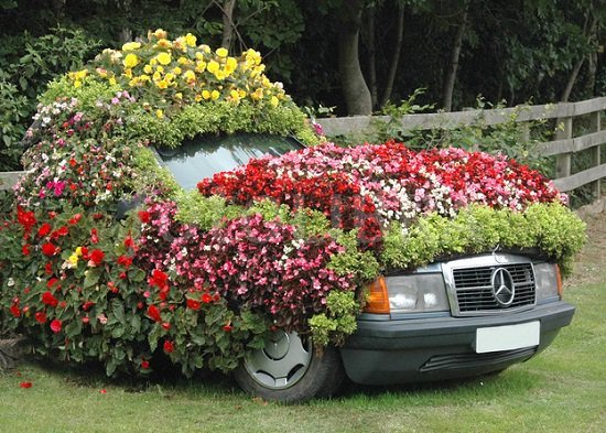 Some of the top Old Car Garden Arts