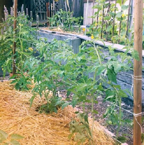 rope project and ideas for trellis