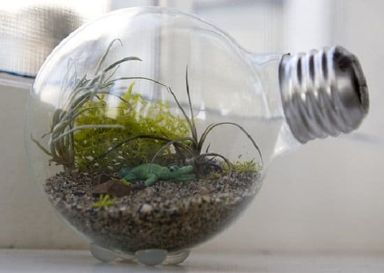 Tiny Light Bulb Terrarium idea