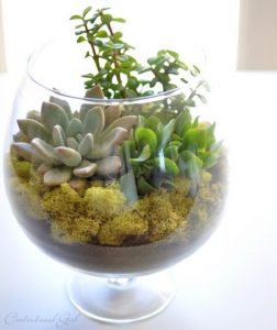 53 DIY Terrarium Ideas That Will Blow Your Mind Away!