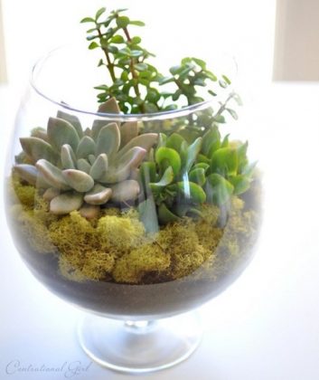 53 Diy Terrarium Ideas That Will Blow Your Mind Away!