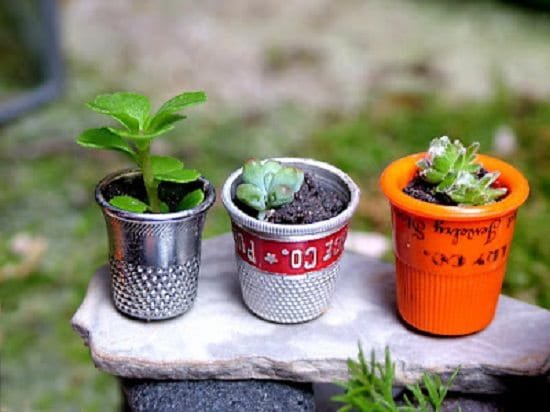 Miniature Greenhouse Using Terrarium
