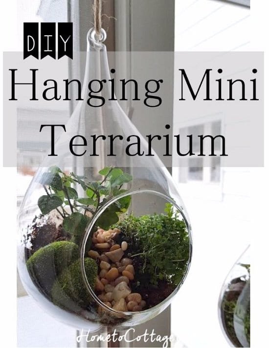 You Can Make a Terrarium Your Kids Will Love! Here's How