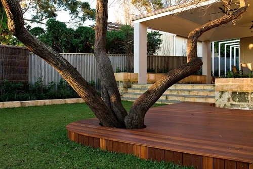 DIY Tree Projects For The Backyard15