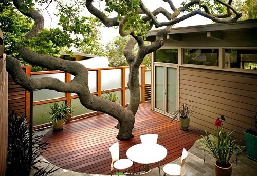 DIY Tree Projects For The Backyard17