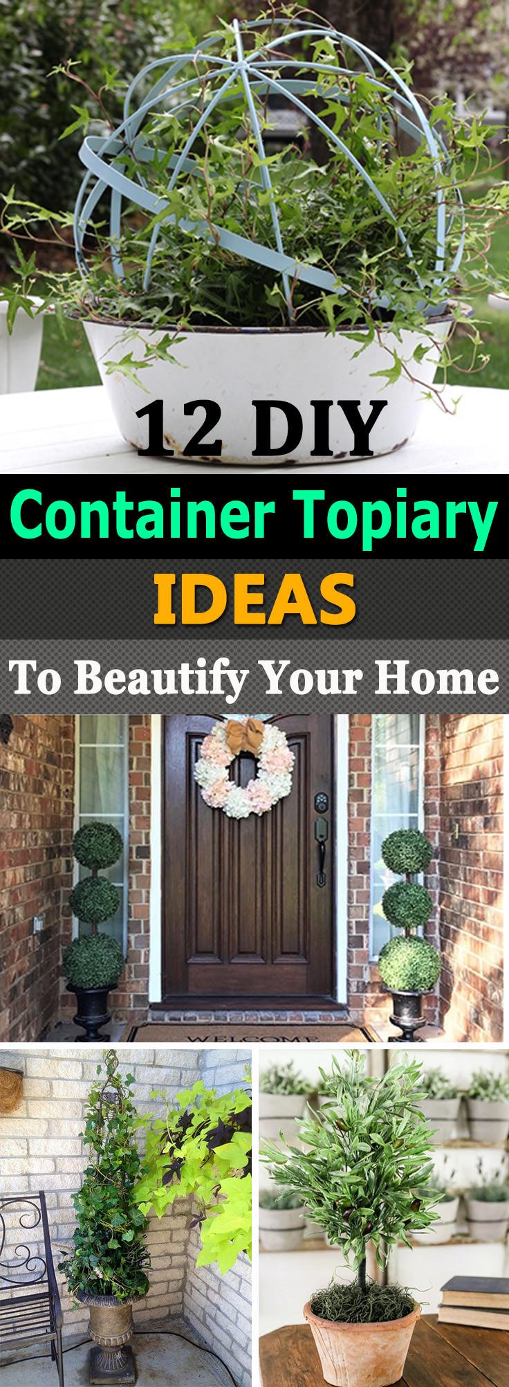 Beautify your indoor space, entryway or garden with  these12 best DIY Topiary Ideas for containers.