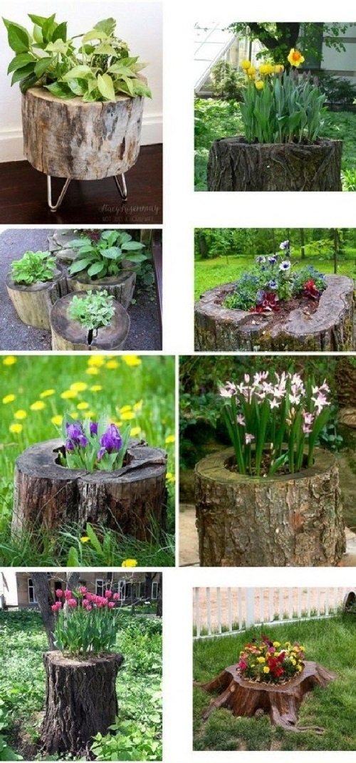 DIY Tree Projects For The Backyard8