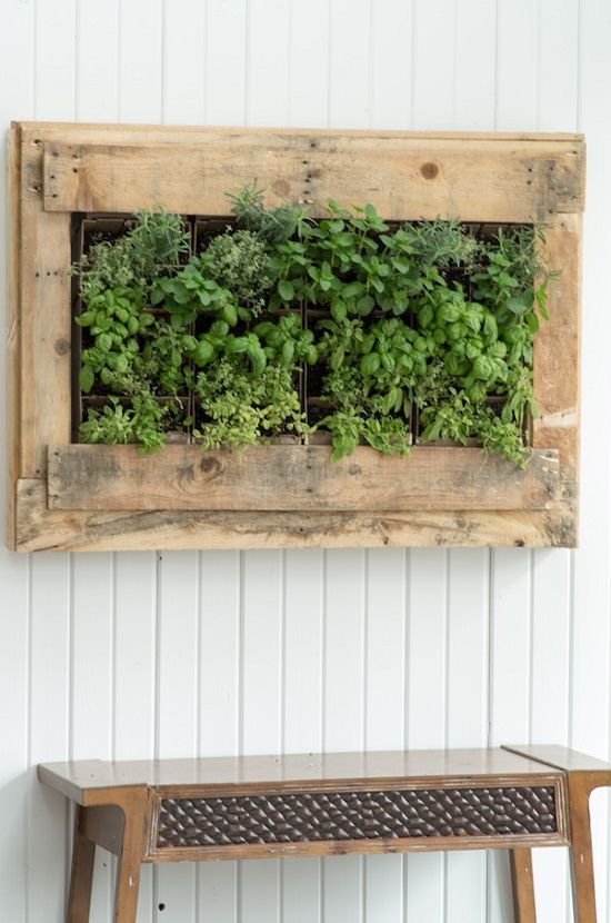DIY Indoor Plant Wall Projects 2