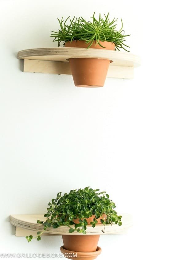 diy pair cute plant shelves