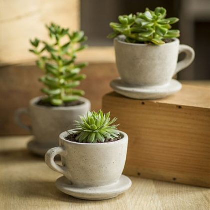 How to Plant Succulents in Pots without Drainage Holes