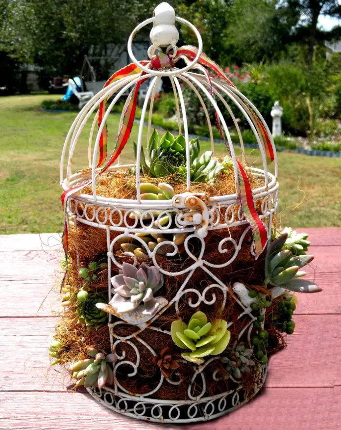9 Cool DIY Birdcage Planter Ideas Balcony Garden Web