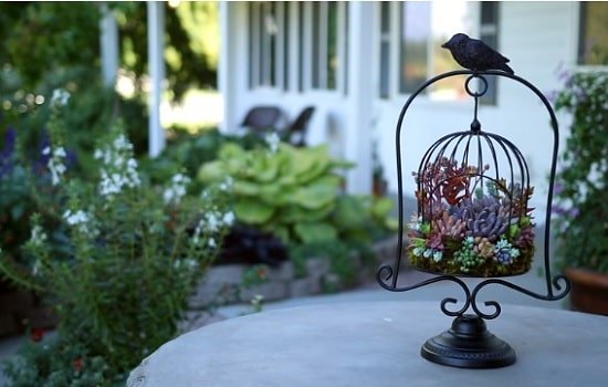 diy birdcage planter ideas