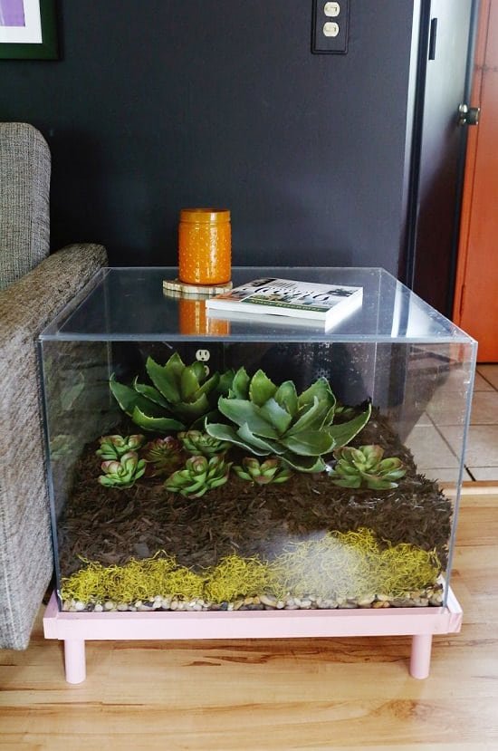 8 DIY Fish Tank Planter & Terrarium | Garden Web