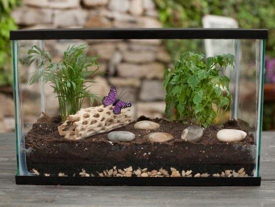 DIY Miniature Indoor Garden