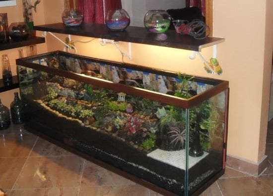 Fantasy World Fish Tank Terrarium