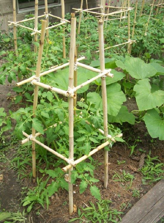 DIY Tomato Cage And Stake Ideas
