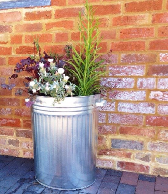These Dustbin Planters are cheap but look great. You can make them too with the help of tutorials in this article!